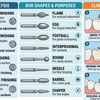 Trimming & Finishing Burs Explained: Blade Counts, Shapes and Clinical Applications